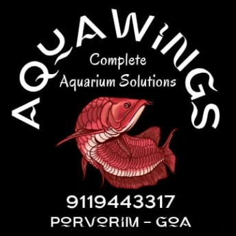 Aquawings